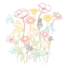 vector drawing wild flowers, vintage style floral composition at white background, hand drawn illustration © cat_arch_angel