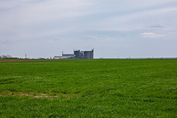 Green Agricultural Field With Distant Grain Silos and Industrial Farm Buildings Under Cloudy Sky © Boris