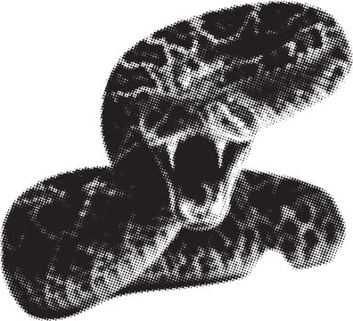 Halftone cobra snake head striking with open mouth in dramatic lighting against white