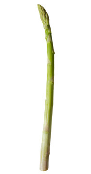 アスパラガス 生のまま並べられた1本の切り抜き グリーンアスパラ 野菜食材