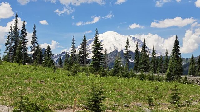Mount Rainier view from mountain park road in Washington