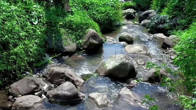 A rocky river winds through the frame, water rippling over uneven stones and pooling briefly in small gaps between rocks. The steady, natural flow creates a soft ASMR sound that helps calm a restless 
