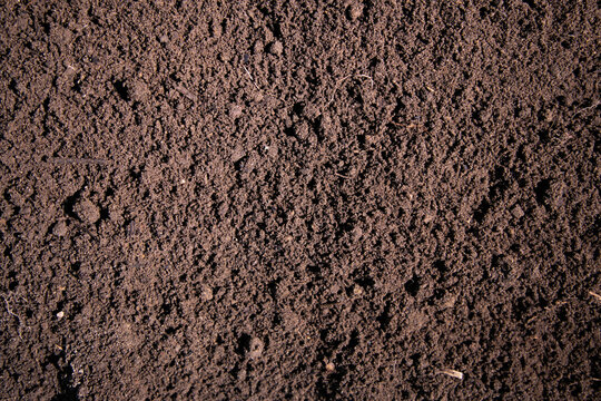 Soil texture fills fertile ground. Brown soil covers garden surface. Topsoil forms earthy background. Soil closeup highlights seedbed texture.
