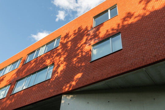Modern university building facade with tree shadows on red brick architecture