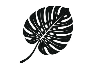 Monstera Deliciosa Tropical Leaf Silhouette Vector Graphic © Desti