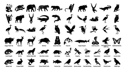 Fototapeta premium Native Chinese Wildlife Black Silhouette Animal Icon Pack Nature Vector Collection