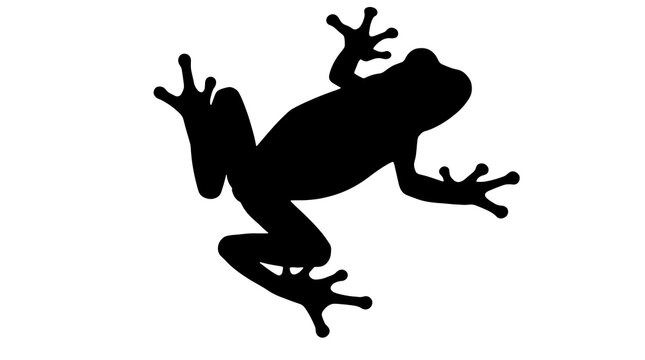 Black silhouette of a tree frog crawling, isolated on a solid white background. Minimalist vector graphic icon of a tropical amphibian.