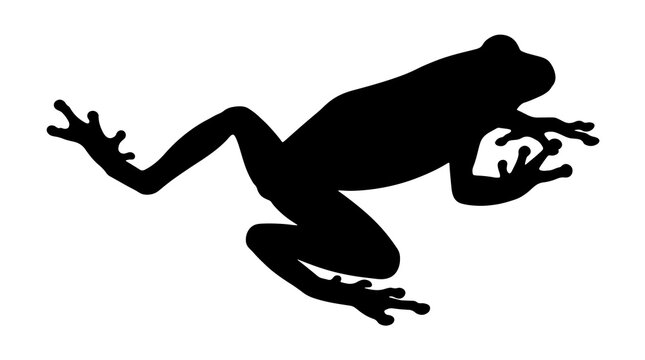 Minimalist black silhouette of a jumping tree frog isolated on a white background vector illustration
