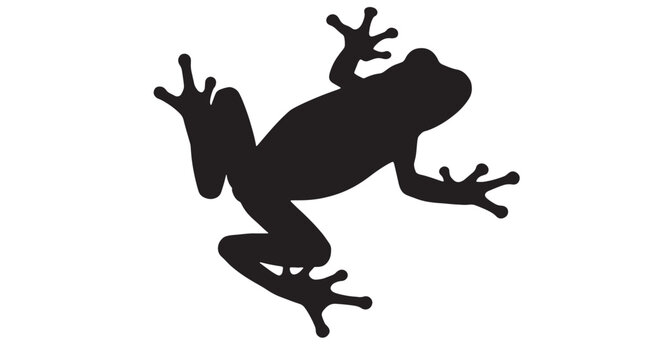 Black silhouette of a tree frog climbing, isolated on white background. Minimalist vector illustration of an amphibian, top view.