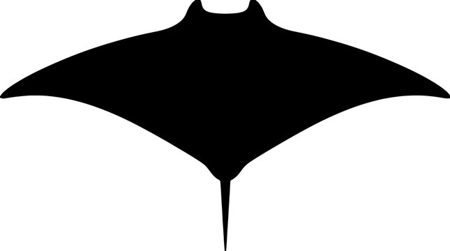 Minimalist black silhouette of a manta ray swimming, isolated on white background, vector graphic of marine wildlife and ocean life.