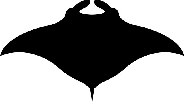 Black manta ray silhouette isolated on a solid white background, flat vector icon of a stingray marine animal