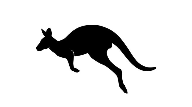 Black silhouette of a jumping kangaroo isolated on a white background, minimalist vector graphic illustration of Australian wildlife