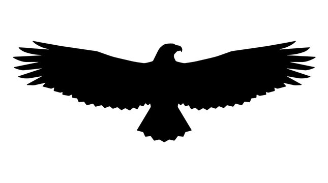 Black silhouette of a soaring eagle with spread wings isolated on a white background. Graphic vector icon of a flying hawk or falcon.