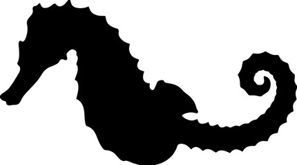 Black seahorse silhouette, ocean animal icon, sea creature, marine life symbol © Mir