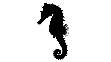 Black seahorse silhouette, ocean animal icon, sea creature, marine life symbol © Mir