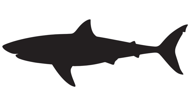 Black shark silhouette, ocean predator icon, marine life symbol, vector graphic