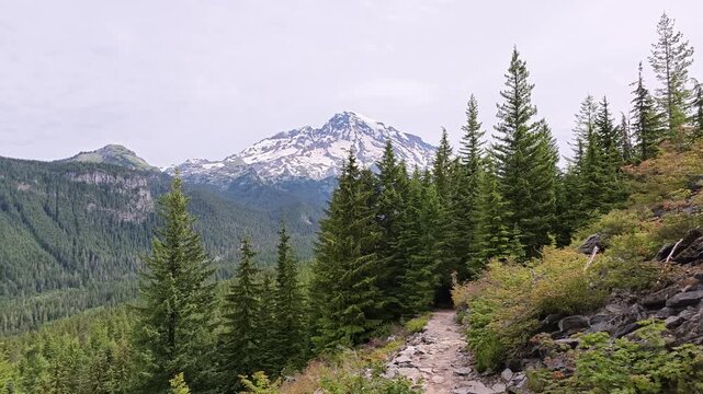 Hiking trail with Mount Rainier view in Washington state