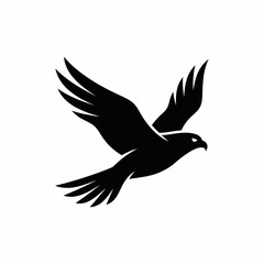 Fototapeta premium Black silhouette of flying eagle bird.
