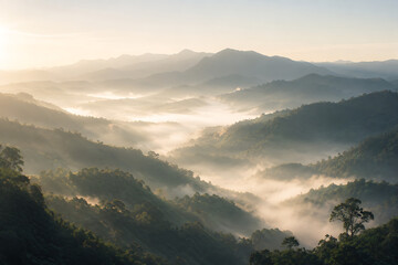 Obraz premium Silent Valley Breathing with Morning Fog and Golden Sunlight