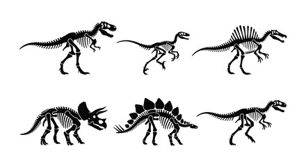 Dinosaur skeletons black vector silhouettes on a white background © MdNirob
