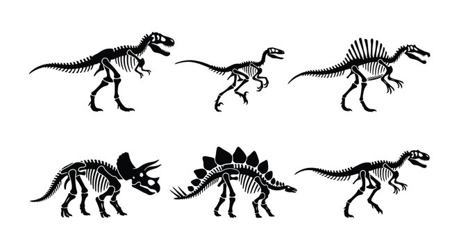 Dinosaur skeletons black vector silhouettes on a white background
