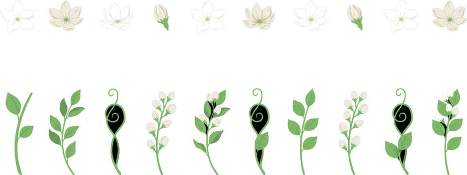 PrintElegant Jasmine Flower and Leaf Vine Vector Element Set with Blossoms, Closed Buds, and Green Branches for Luxury Wedding Card and Cosmetic Packaging Designs