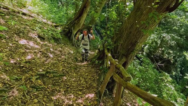 Female hiker walking in wide shot along steep forest trail in Georgia, moving past wooden railing and old trees for hiking routes, eco tourism, trail safety, woodland travel, and outdoor recreation
