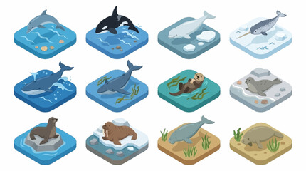 Isometric illustration of various marine animals on ice floes. © Janji