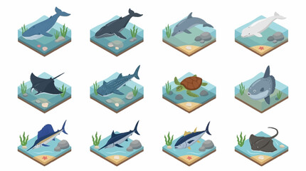 Colorful Isometric Marine Life Collection. © Janji