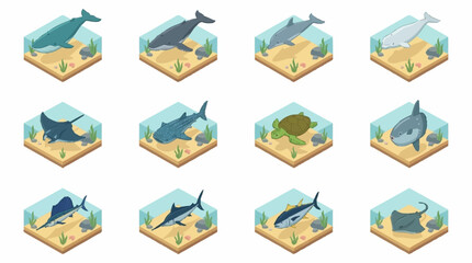 Colorful Isometric Marine Life Collection in Hexagonal Frames. © Janji