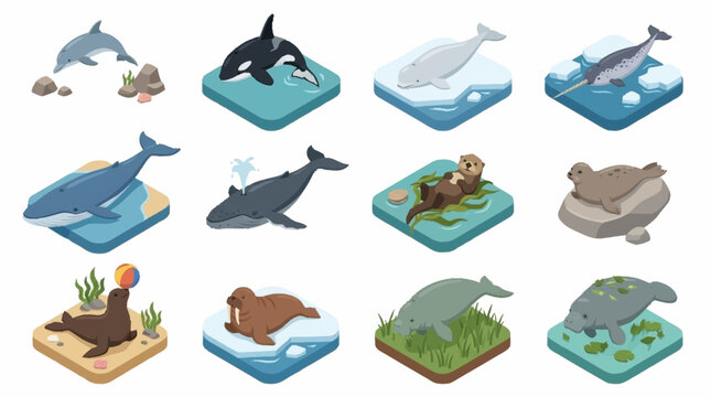 Colorful cartoon sea animals on floating ice platforms.