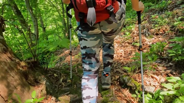 Hiker climbing forest trail rear shot in Georgia, using trekking pole on steep rocky path with backpack for trekking tourism, route planning, trail safety, endurance training, and outdoor travel media