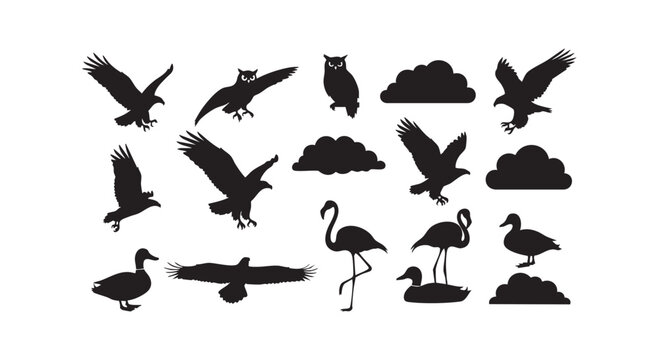 Collection of black bird silhouettes featuring eagles owls ducks flamingos and clouds for avian themed graphic art.