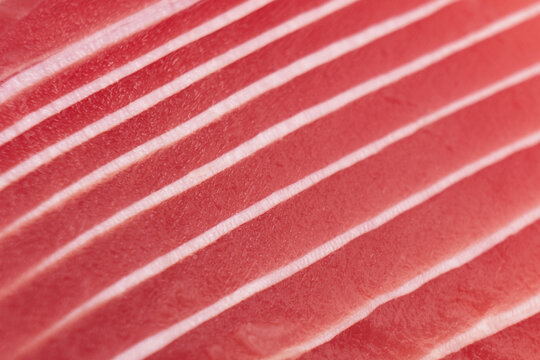 Macro shot blue fin tuna steak background. Fresh rare steak close up. Raw bluefin tuna fillet texture. Background fresh tuna meat. Slices of tuna meat.