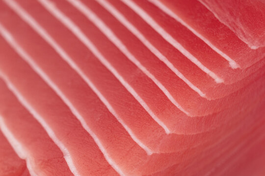 Macro shot blue fin tuna steak background. Fresh rare steak close up. Raw bluefin tuna fillet texture. Background fresh tuna meat. Slices of tuna meat.