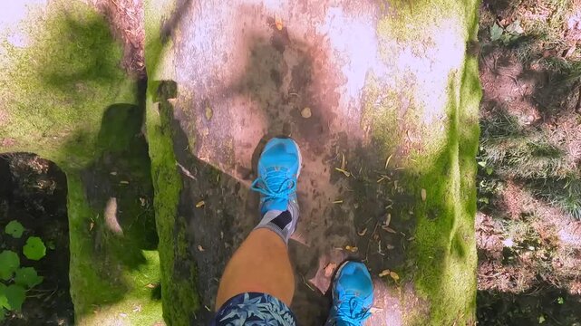Tourist walking pov shot on fallen tree in Batumi Botanical Garden, Georgia, moving through dense greenery for travel tourism, route exploration, balance practice, and outdoor trail footage.