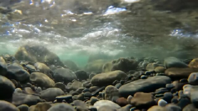 Underwater view of a rocky riverbed with clear, flowing water and sunlight filtering through the surface creating shimmering light patterns