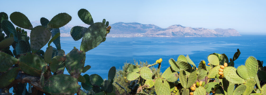 Panoramic view of the gulf of Palermo from Monte Catalfano park in Sicily	