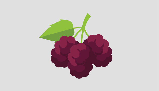 Simple flat vector illustration of a bunch of three ripe purple blackberries with a green leaf on a light gray background.