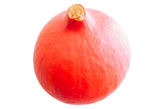 Red kuri squash isolated on a transparent background, whole fresh hokkaido pumpkin