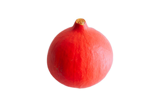 Red kuri squash isolated on a transparent background, whole fresh hokkaido pumpkin