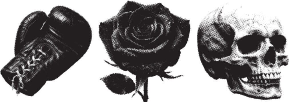 Halftone boxing glove dark rose and skull arranged in a conceptual lineup against a white background