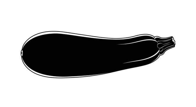 Hand drawn black silhouette of a zucchini vegetable with stem and texture details isolated on white background with vector silhouette illustration