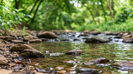 Fototapeta premium Tranquil Forest Stream with Smooth Rocks and Lush Greenery in Soft Focus Background
