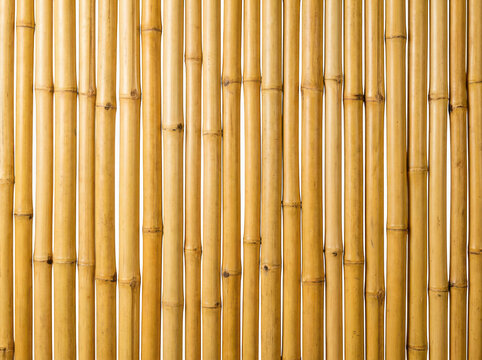 Bamboo fence wall background