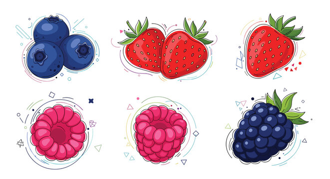Fresh berries including blueberries strawberries raspberries and blackberries are shown in colorful line art with abstract design accents.