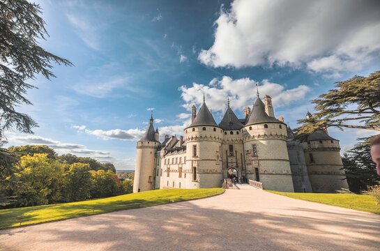 Blois dominates the Loire Valley with its majestic architecture and rich history, surrounded by lush gardens and vibrant trees under a bright blue sky. This scene invites a sense of wonder