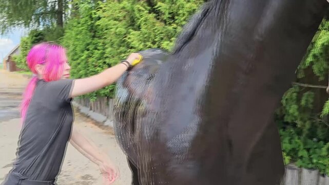 Grooming a horse in a rural area with a mix of care and attention in a shaded outdoor setting