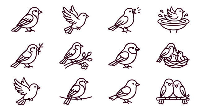 Bird Icon Set Vector Illustration