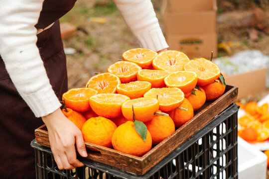 Fresh Cut Orange Citrus Fruits in Wooden Crate at Farmers Market